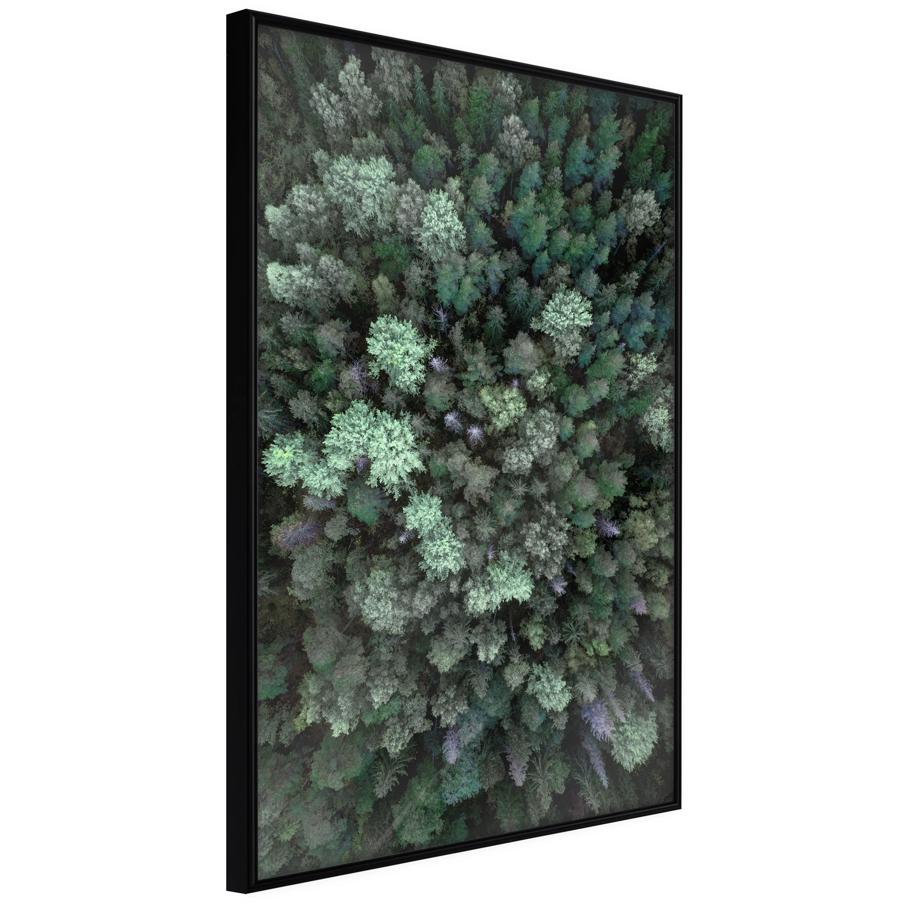 Poster Artgeist Affisch Flying Over Forest