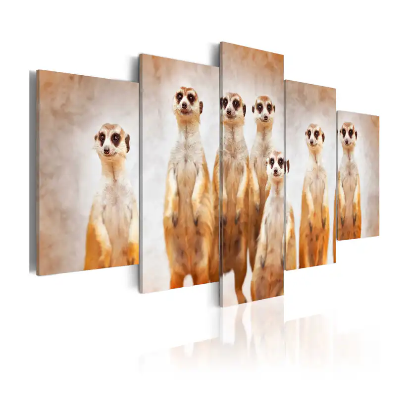 Tavla Arkiio Family Of Meerkats