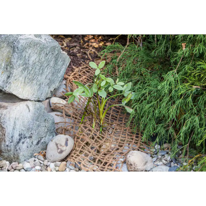 Planteringsmatta för Damm Heissner 50x1 m