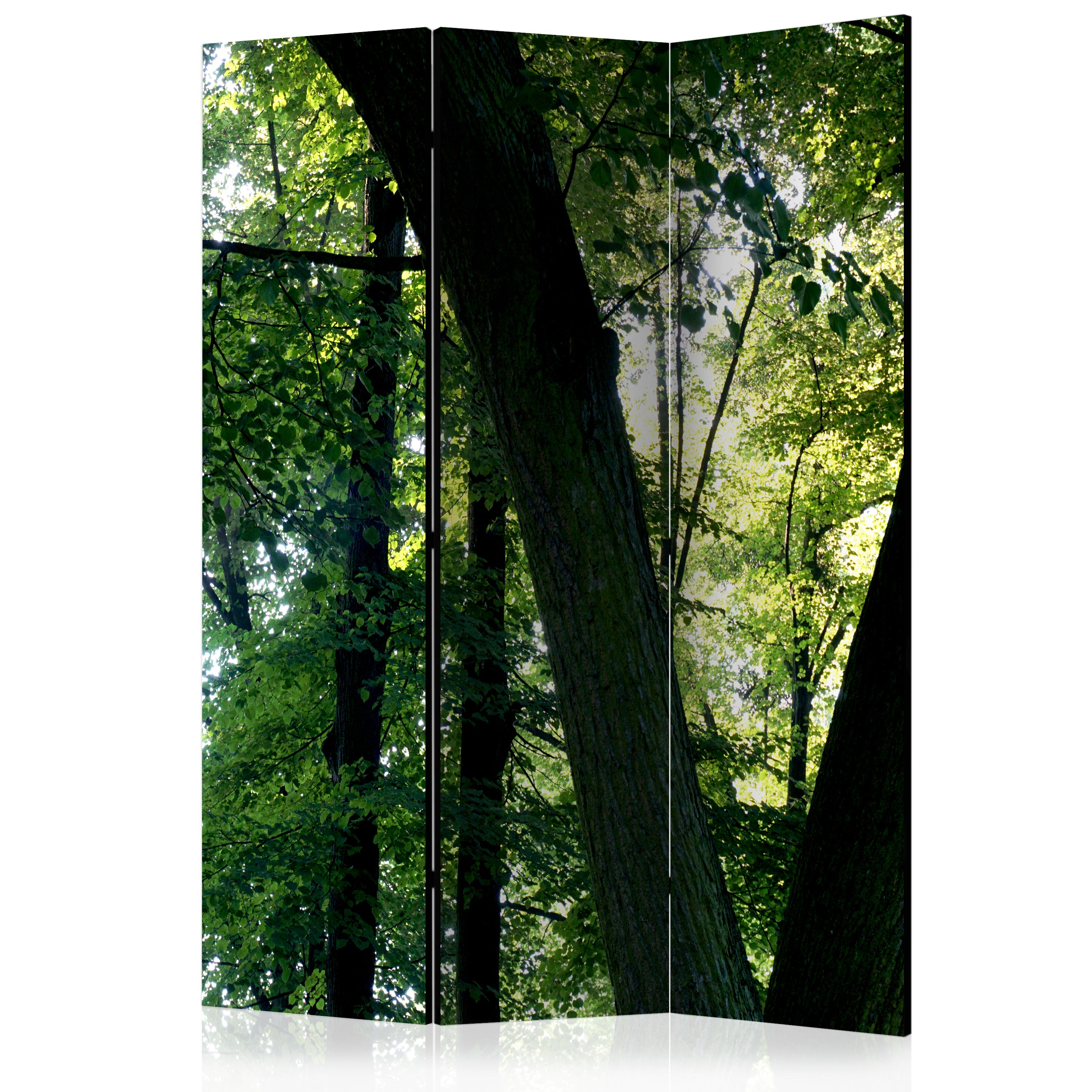 Rumsavdelare Arkiio Spring In The Park 135x172 cm