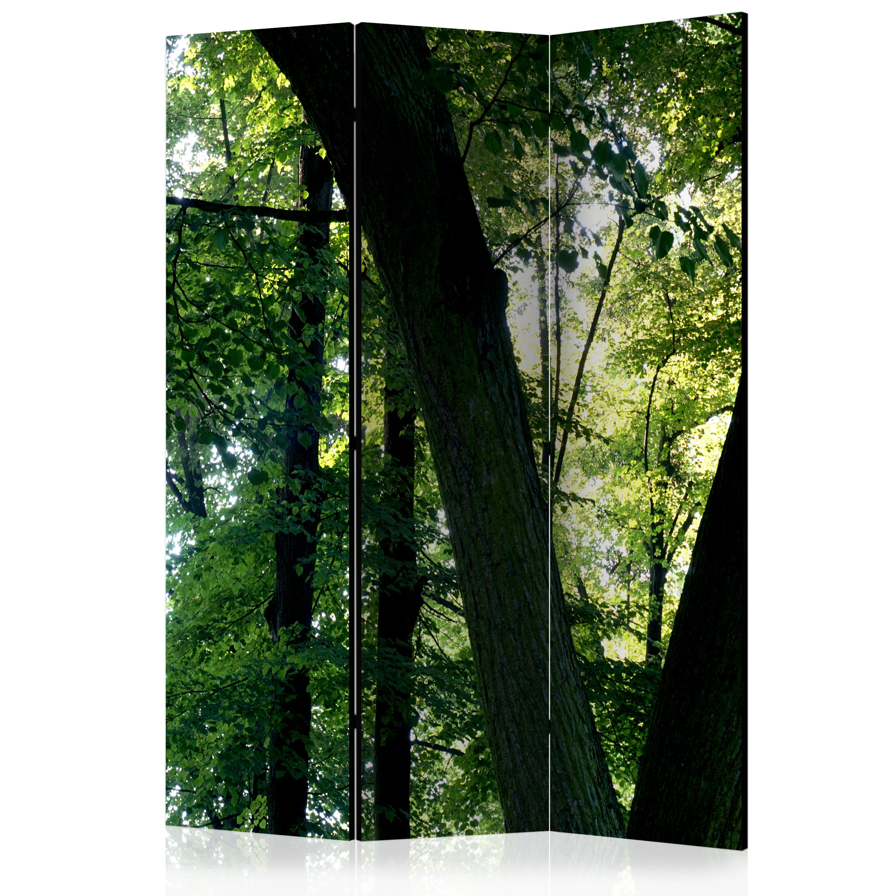 Rumsavdelare Arkiio Spring In The Park 135x172 cm