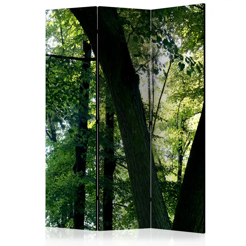 Rumsavdelare Arkiio Spring In The Park 135x172 cm