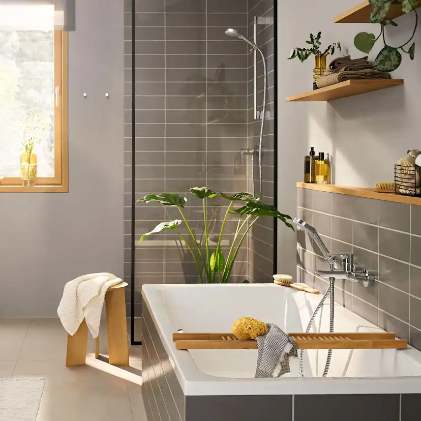 Dusch- och Badkarsblandare Hansgrohe Rebris E 1-grepps