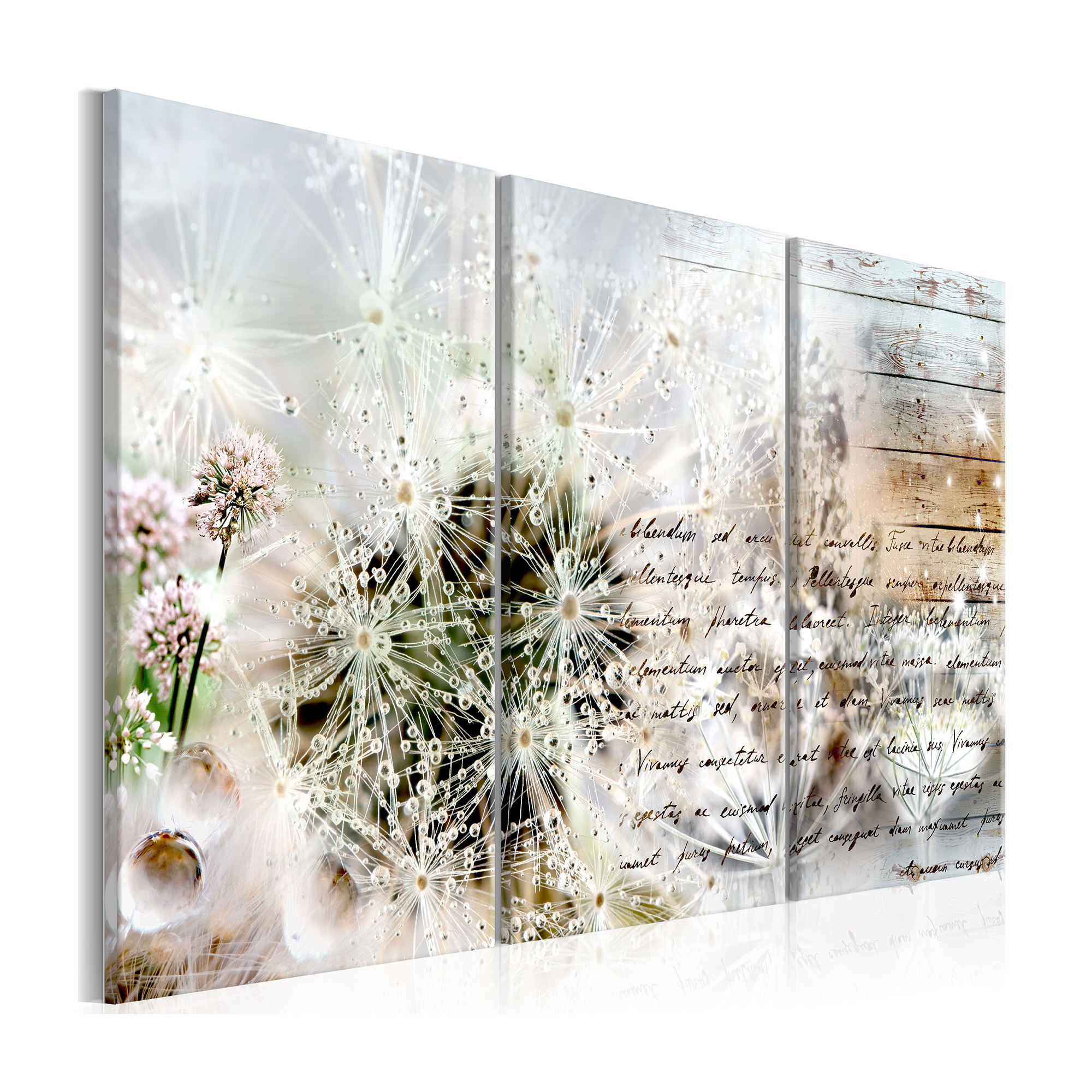 Tavla Arkiio Starry Dandelions I