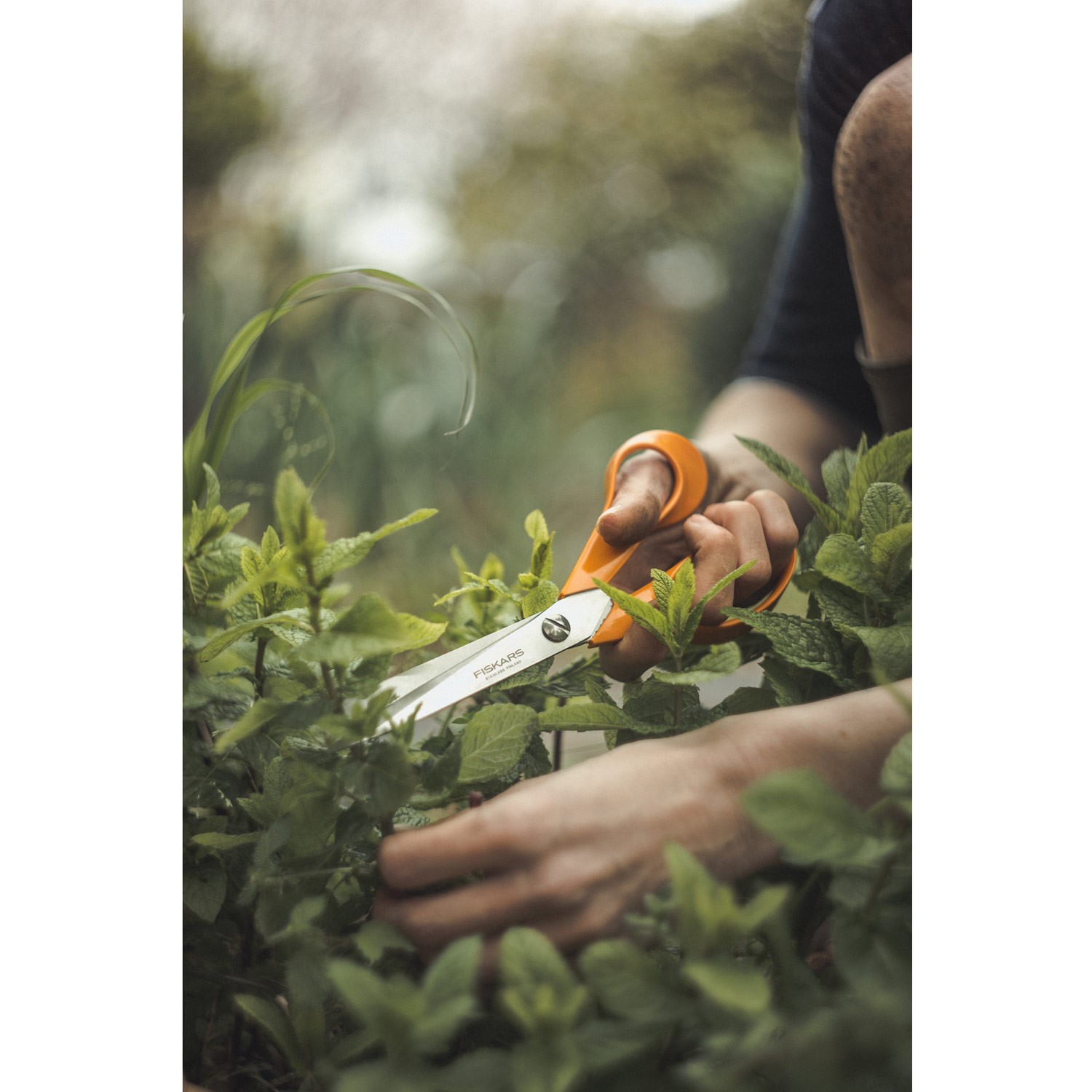 Universalsax Fiskars Classic 21 cm