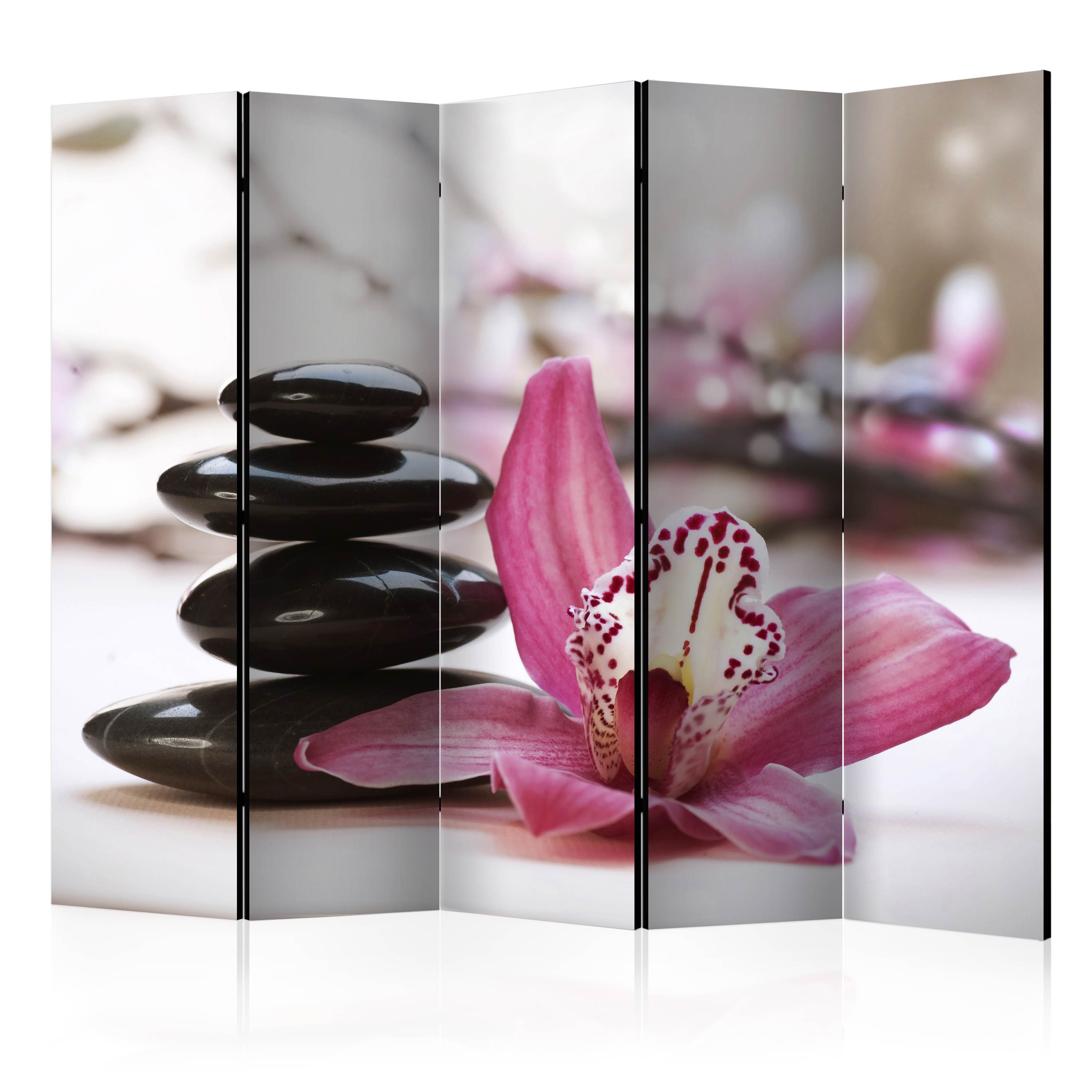 Rumsavdelare Arkiio Relaxation and Wellness II 225x172 cm