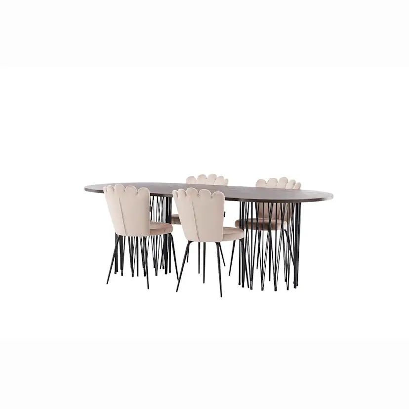 Matgrupp furniture/fashion Stone med 4 Limhamn Light Stolar