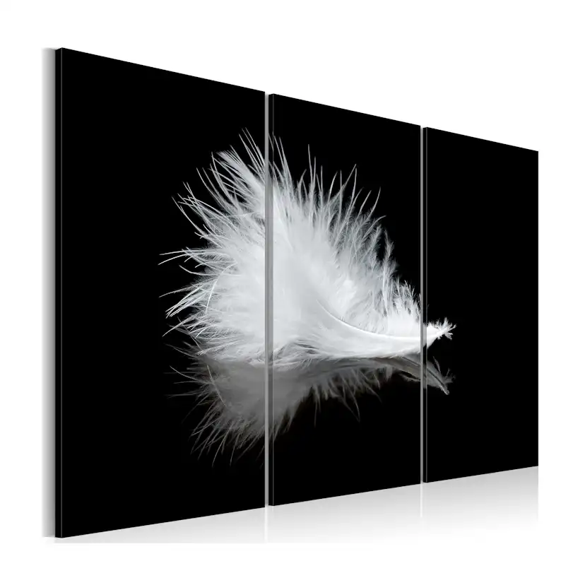 Tavla Arkiio A Small Feather