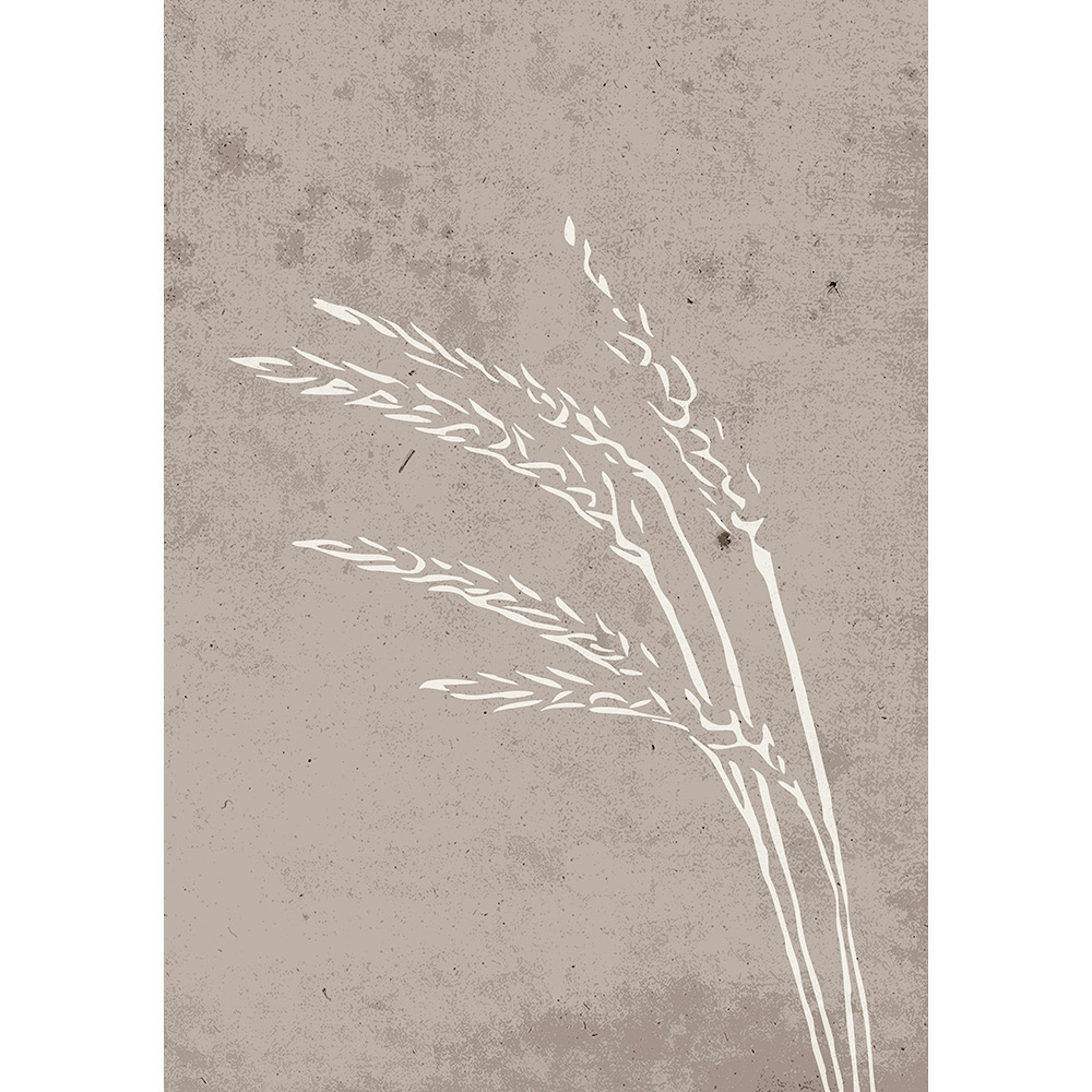 Posters Venture Home Seeds Beige