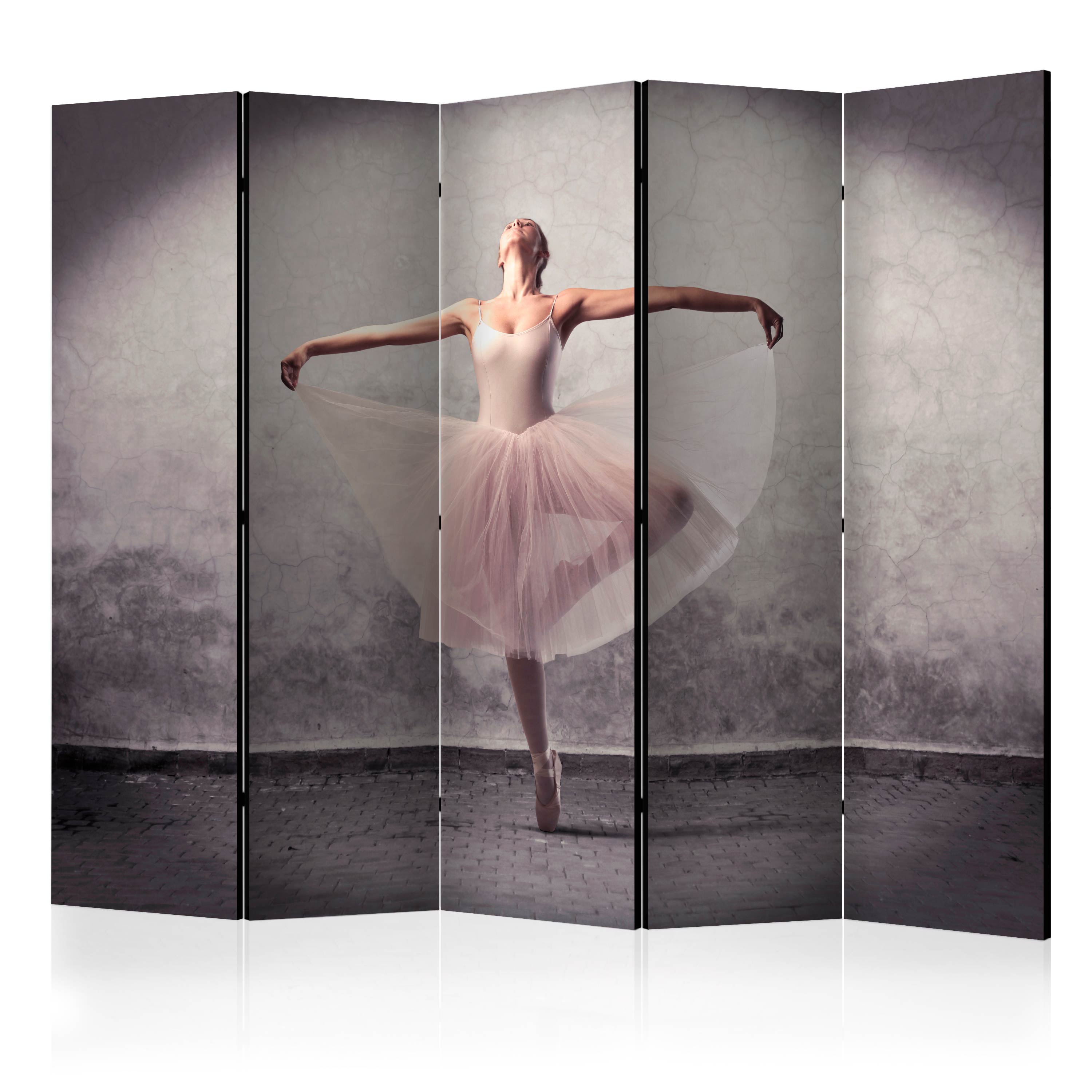 Rumsavdelare Arkiio Classical Dance Poetry without Words II 225x172 cm