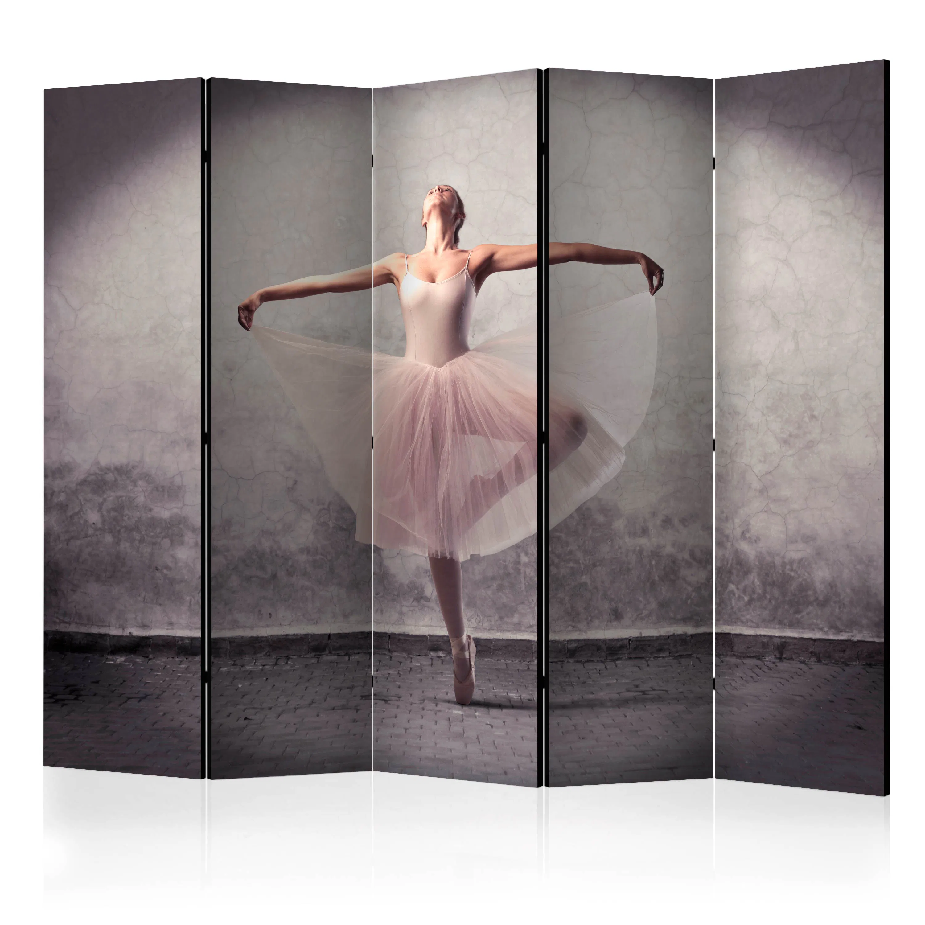 Rumsavdelare Arkiio Classical Dance Poetry without Words II 225x172 cm