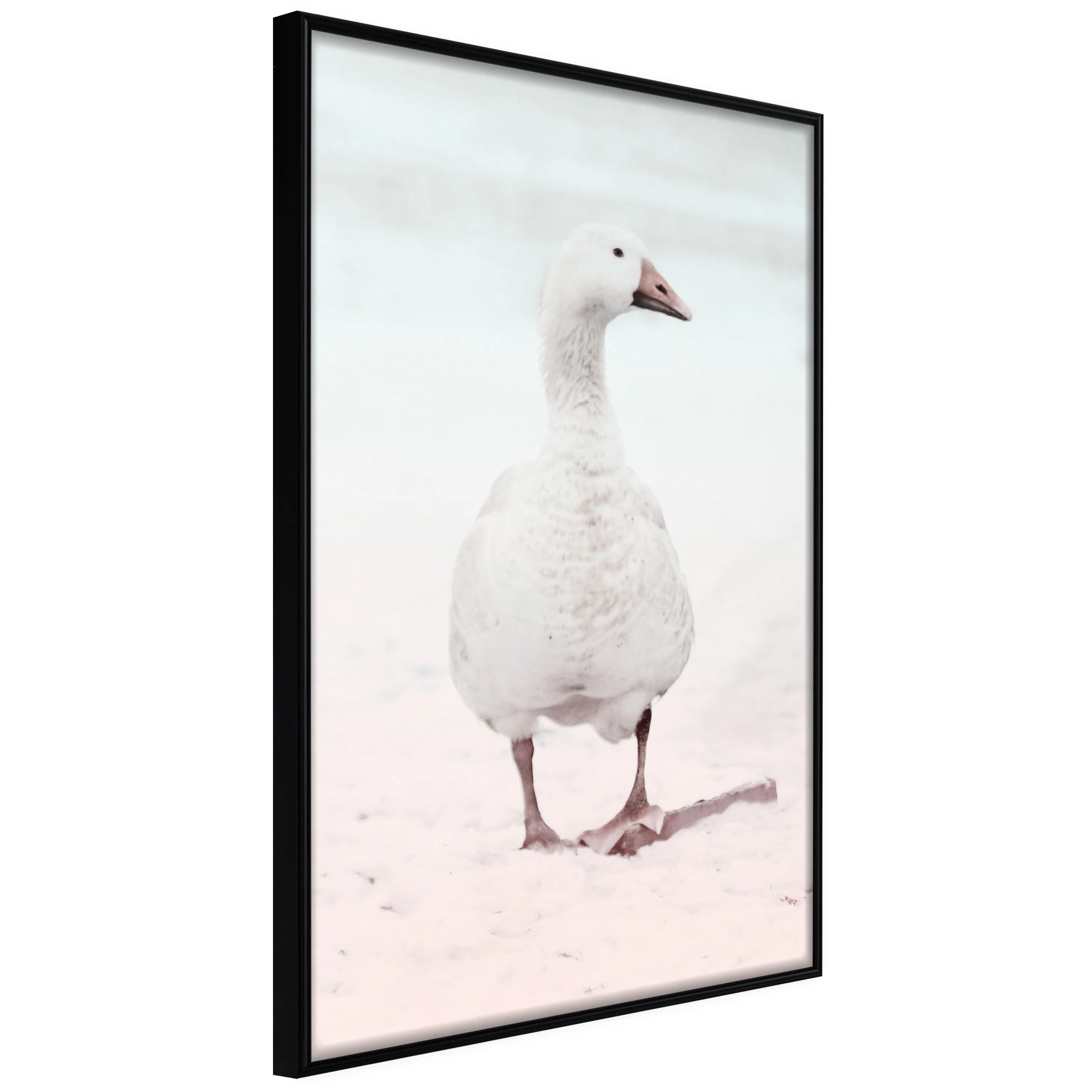 Poster Artgeist Affisch Winter Duck