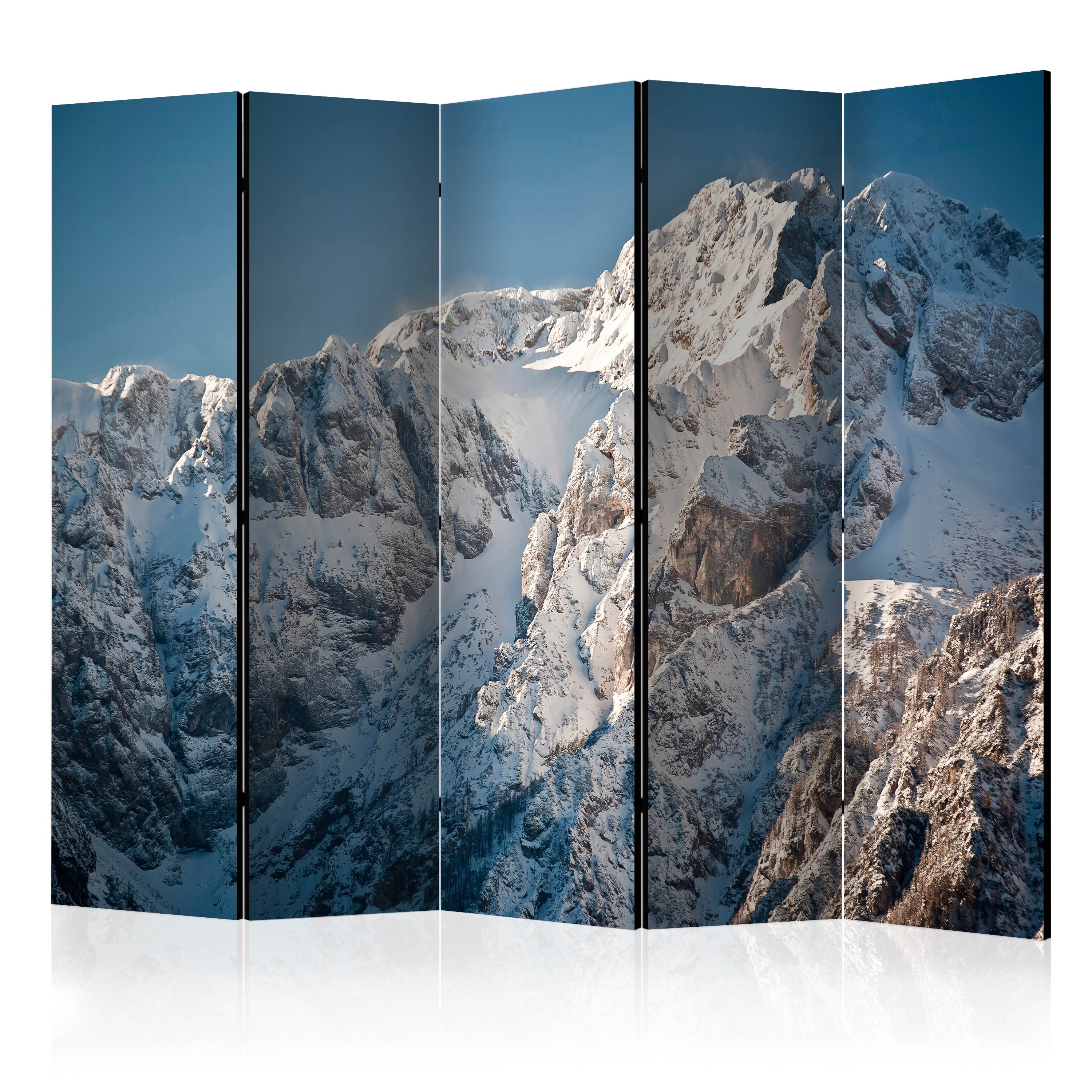 Rumsavdelare Arkiio Winter In The Alps II 225x172 cm