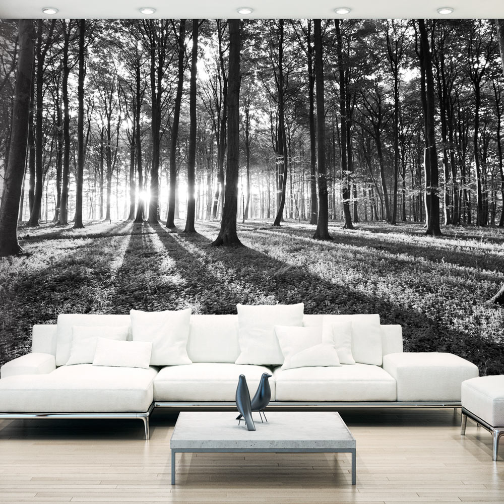 Fototapet Arkiio Självhäftande Grey Wilderness
