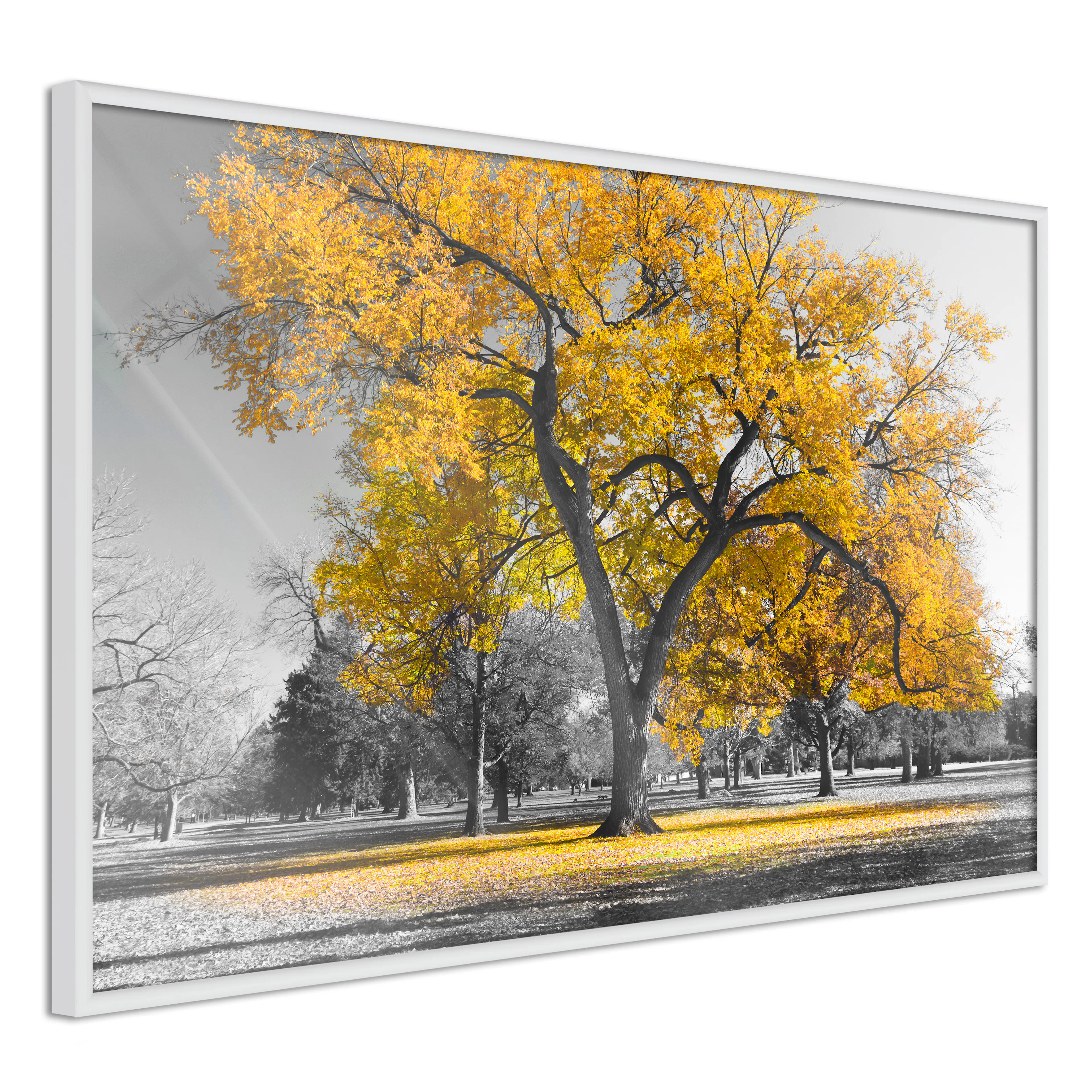 Poster Artgeist Affisch Autumn in the Park Gold