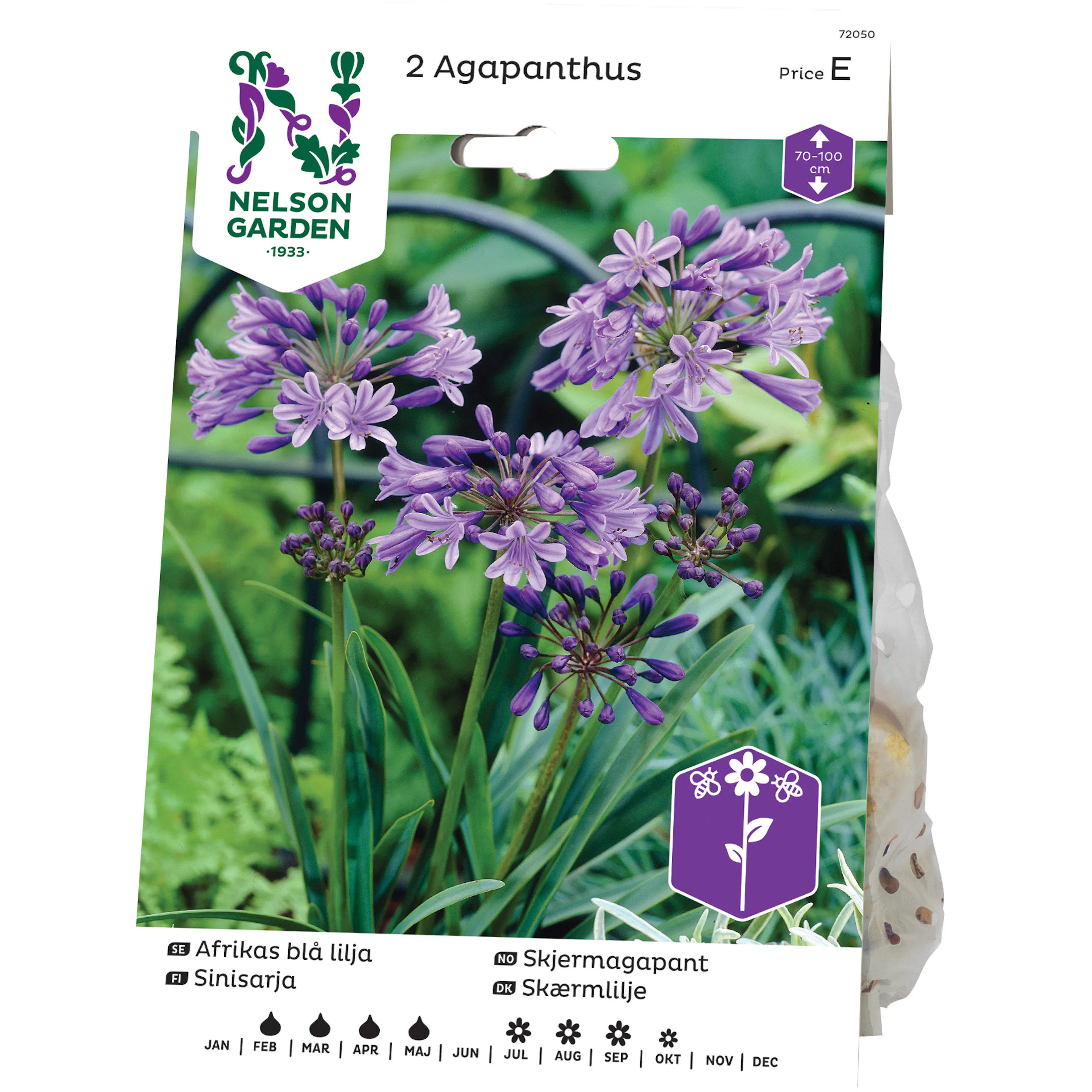 Afrikas Blå Lilja Nelson Garden Agapanthus