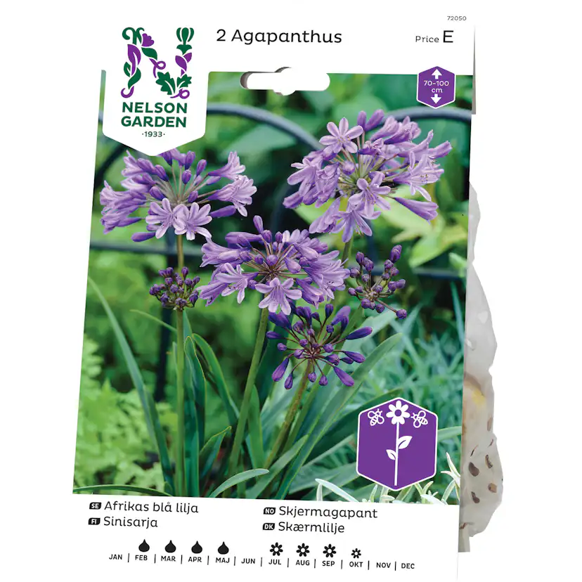 Afrikas Blå Lilja Nelson Garden Agapanthus