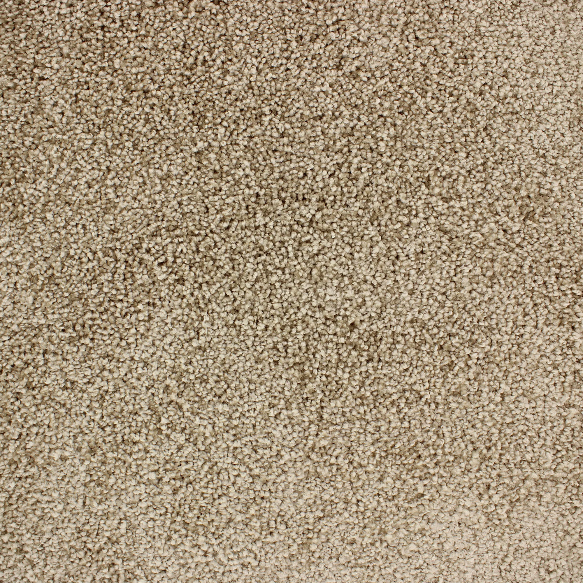 Beige/Guld