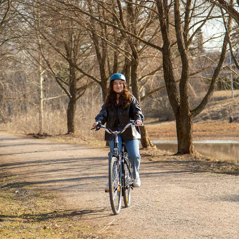 Elcykel Swoop Classic, dam 28" Svart