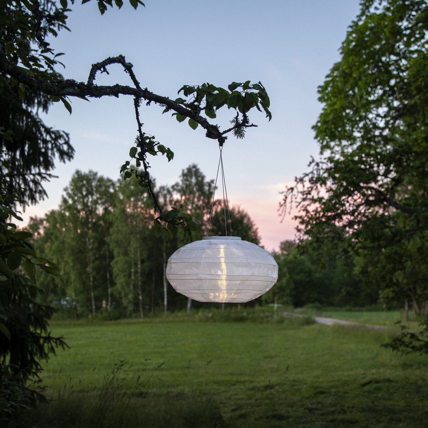 Solcellsdekoration Star Trading Festival 35  cm Vit