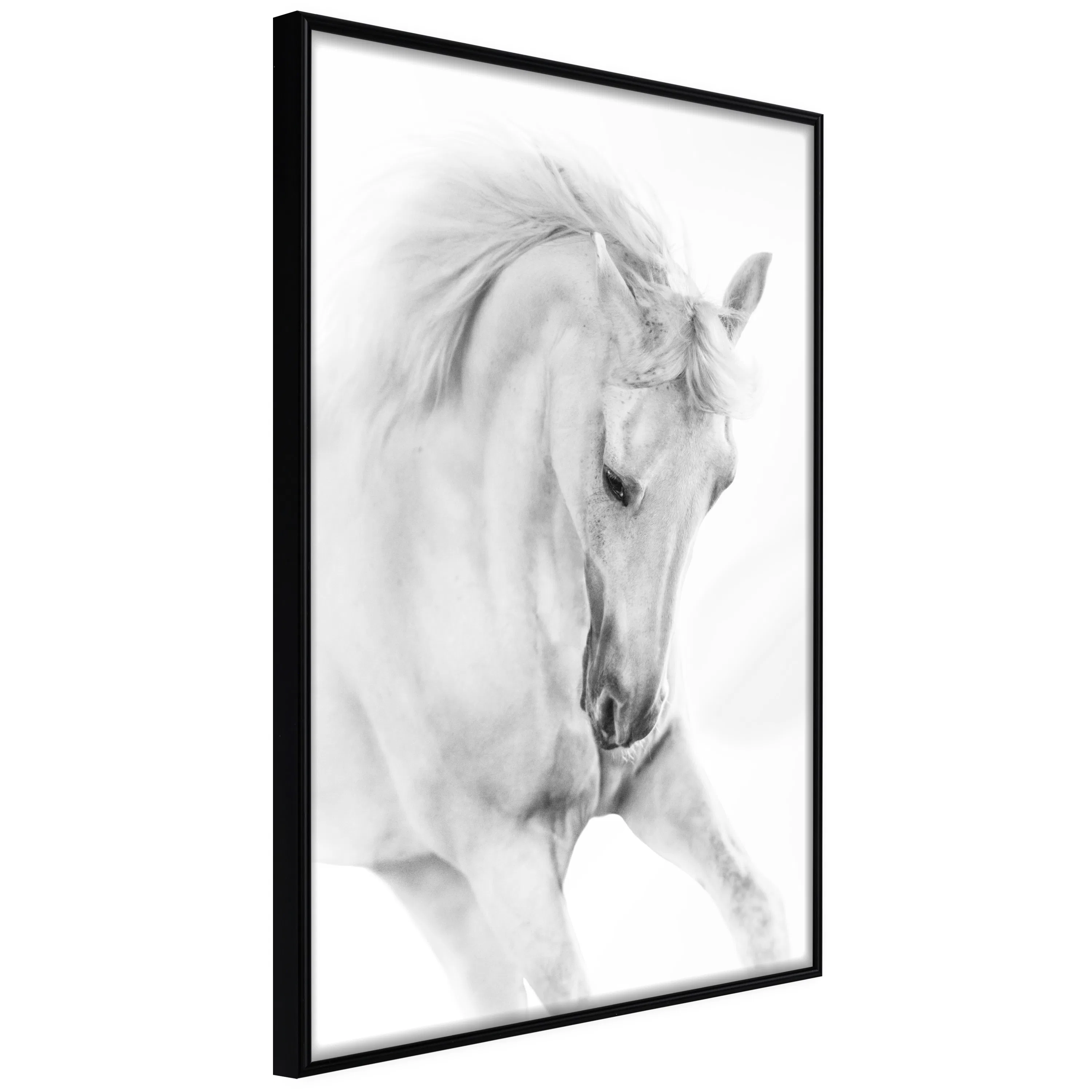 Poster Artgeist Affisch White Horse