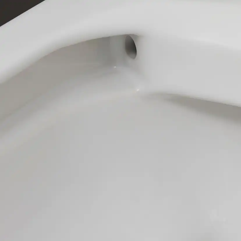 Vägghängd Toalettstol Duravit D-Code Rimless