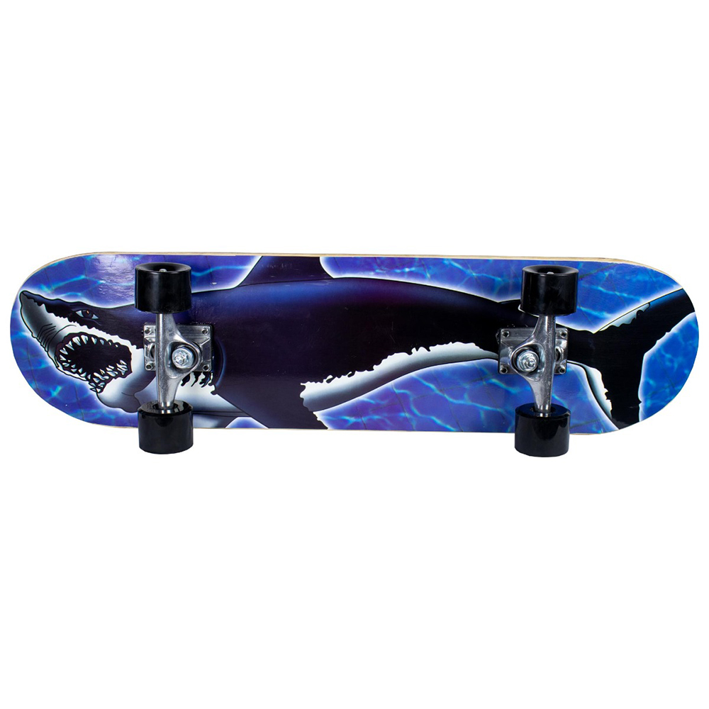 Skateboard Sandbar Shark