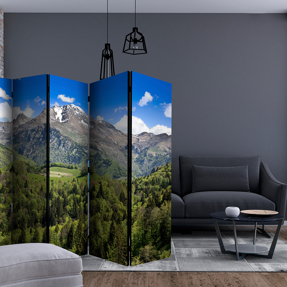 Rumsavdelare Arkiio Holiday In The Mountains II 225x172 cm