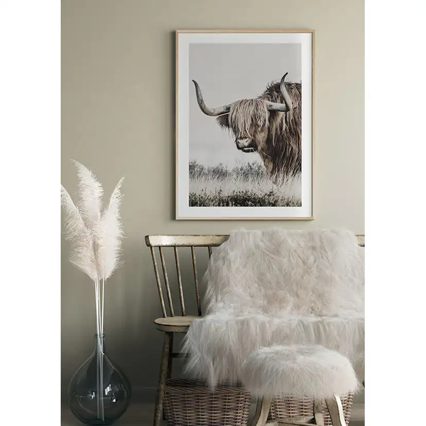 Poster Gallerix Highland Cattle