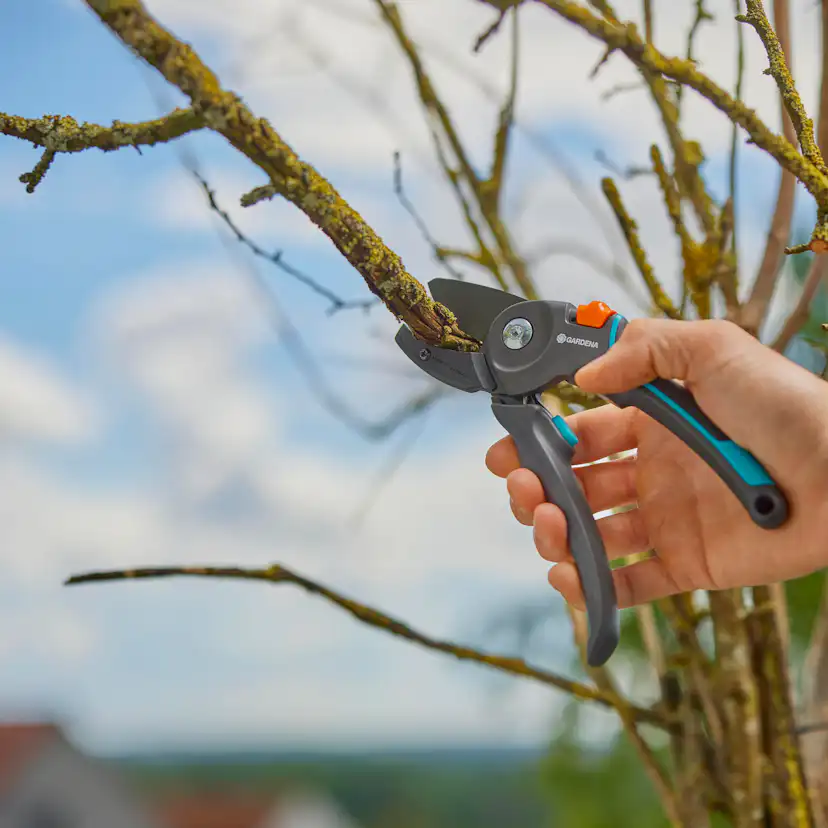 Sekatör Gardena PremiumCut Pro Mothåll