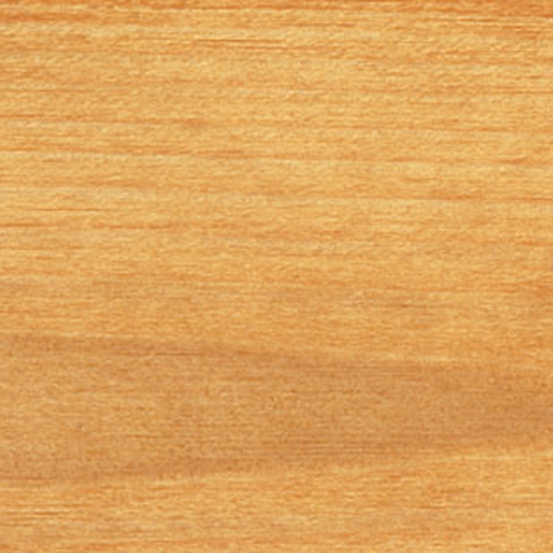 Träolja Saicos 0110 Ofärgad