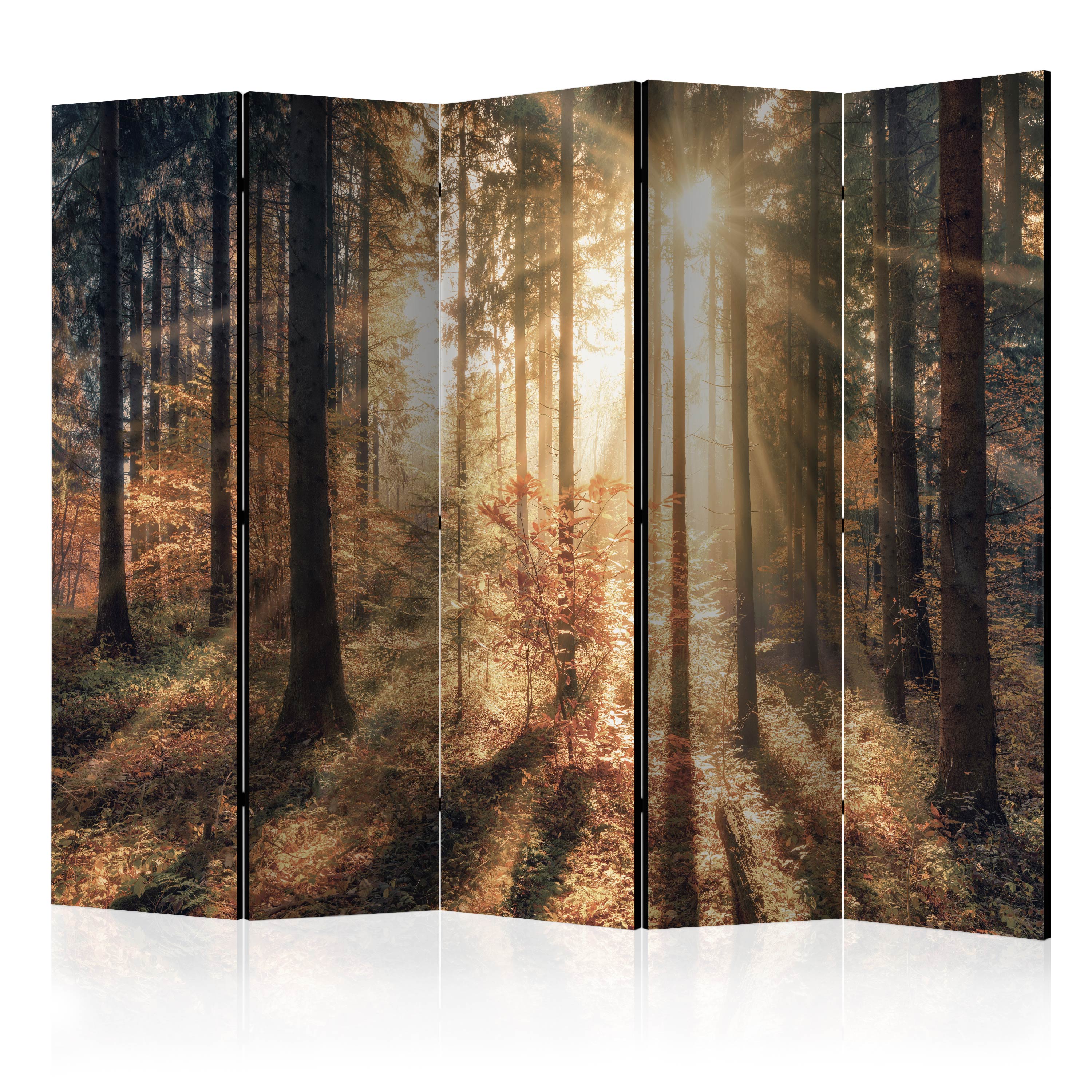 Rumsavdelare Arkiio Autumnal Forest II 225x172 cm