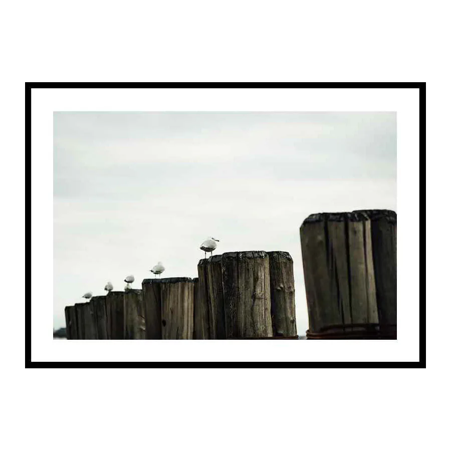 Poster Gallerix Seagulls Harbor