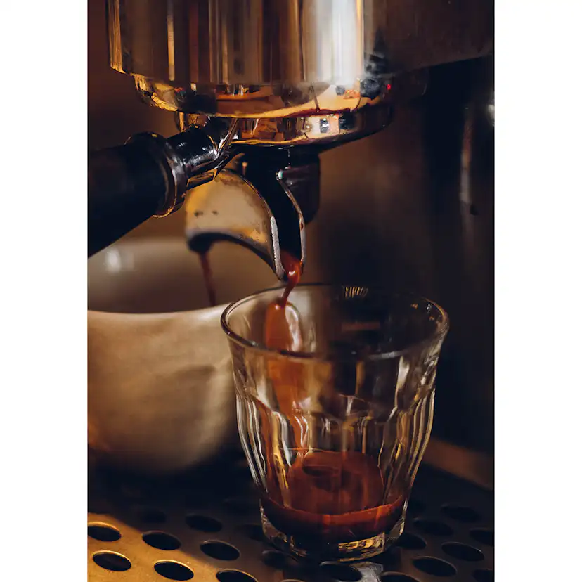 Posters Venture Home Barrista Brun