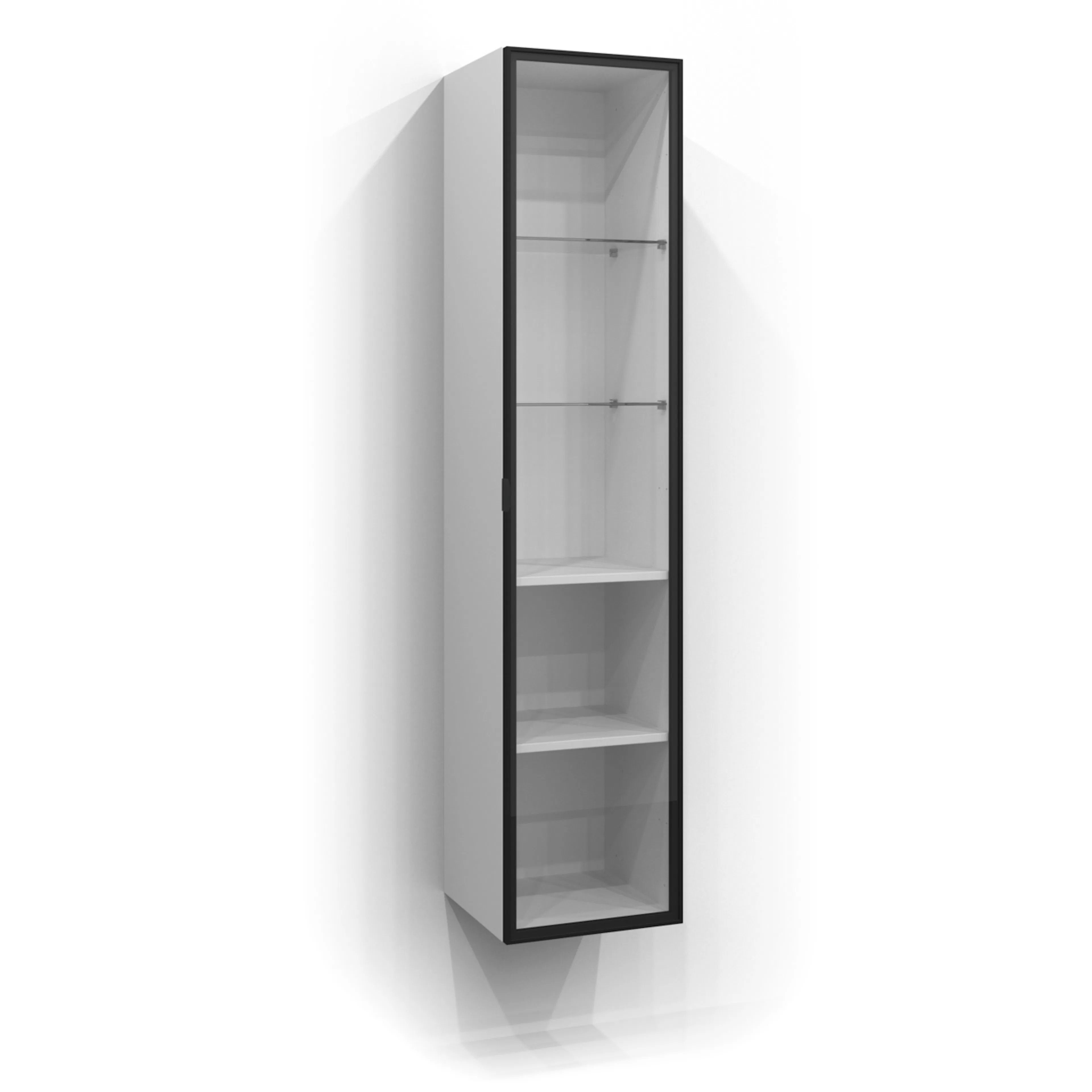 Dörr Högskåp Ram 160x35 Svart matt/Klar BxH: 350 x 1600 mm, Mattsvart, Klarglas