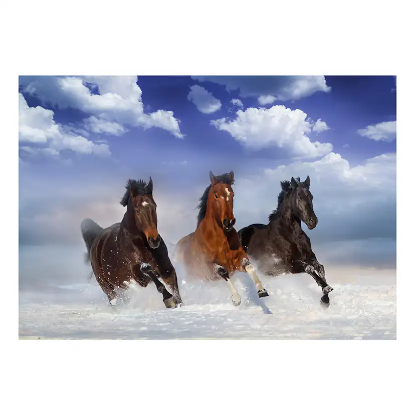 Fototapet Arkiio Horses In The Snow