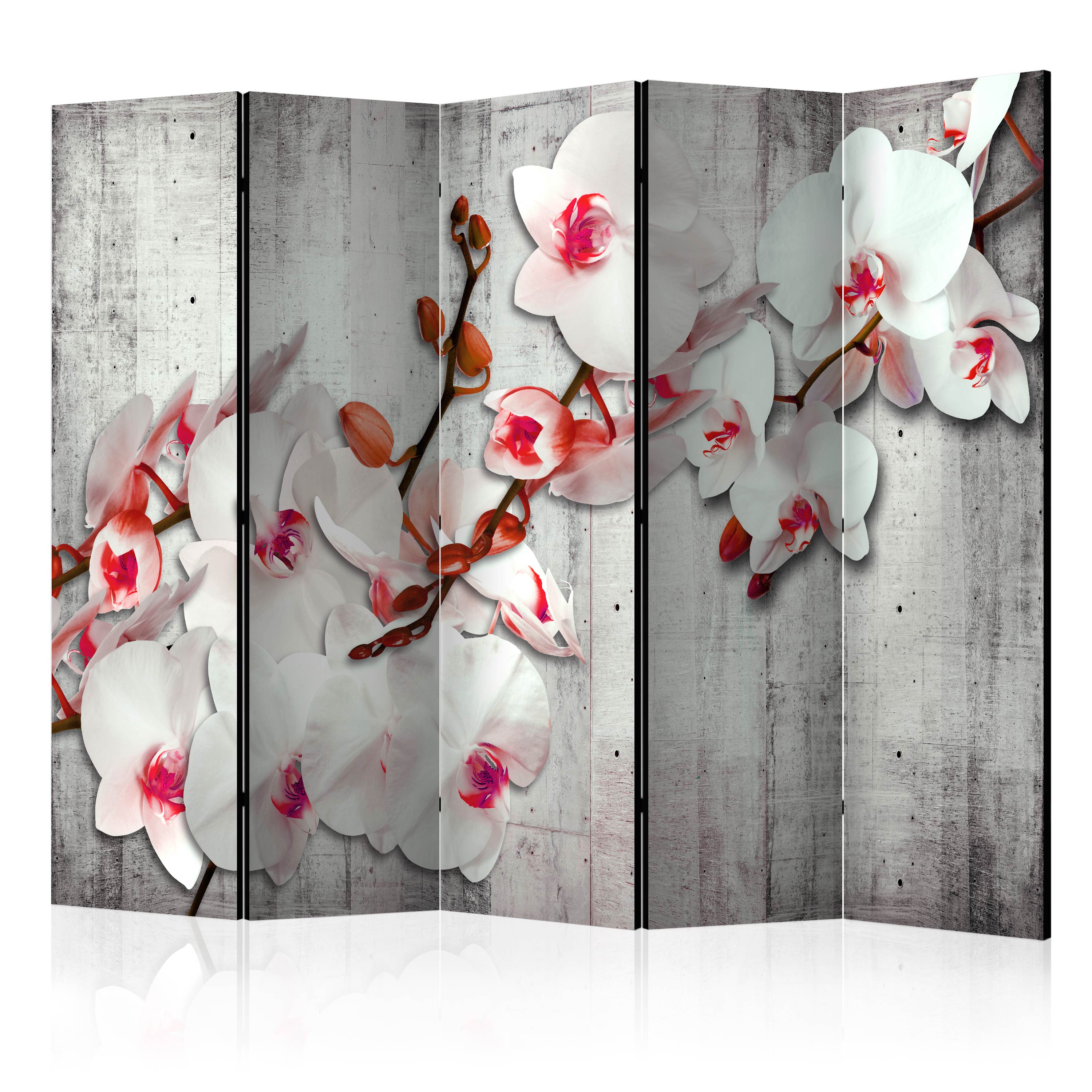Rumsavdelare Arkiio Concrete Orchid II 225x172 cm