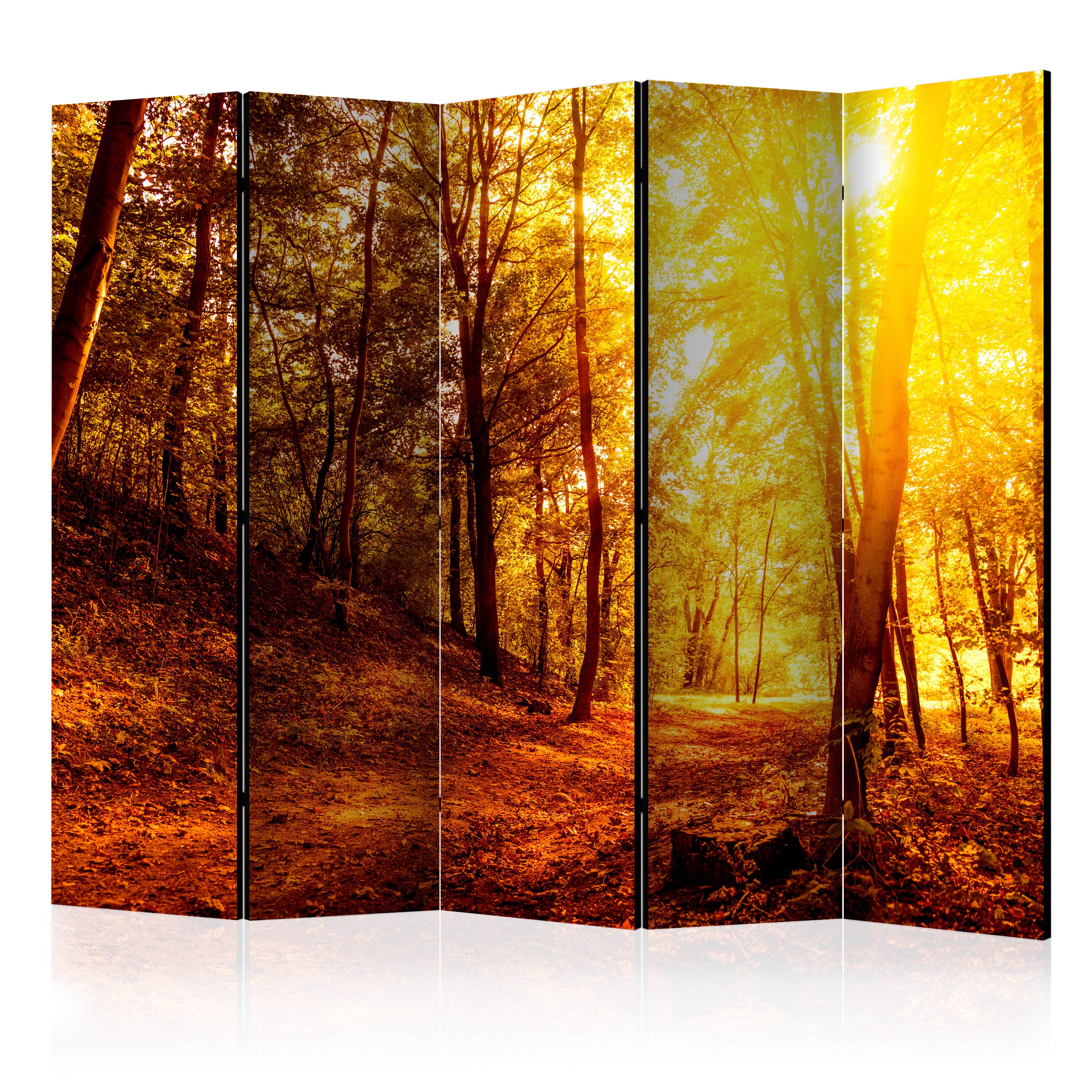 Rumsavdelare Arkiio Autumn Walk II 225x172 cm