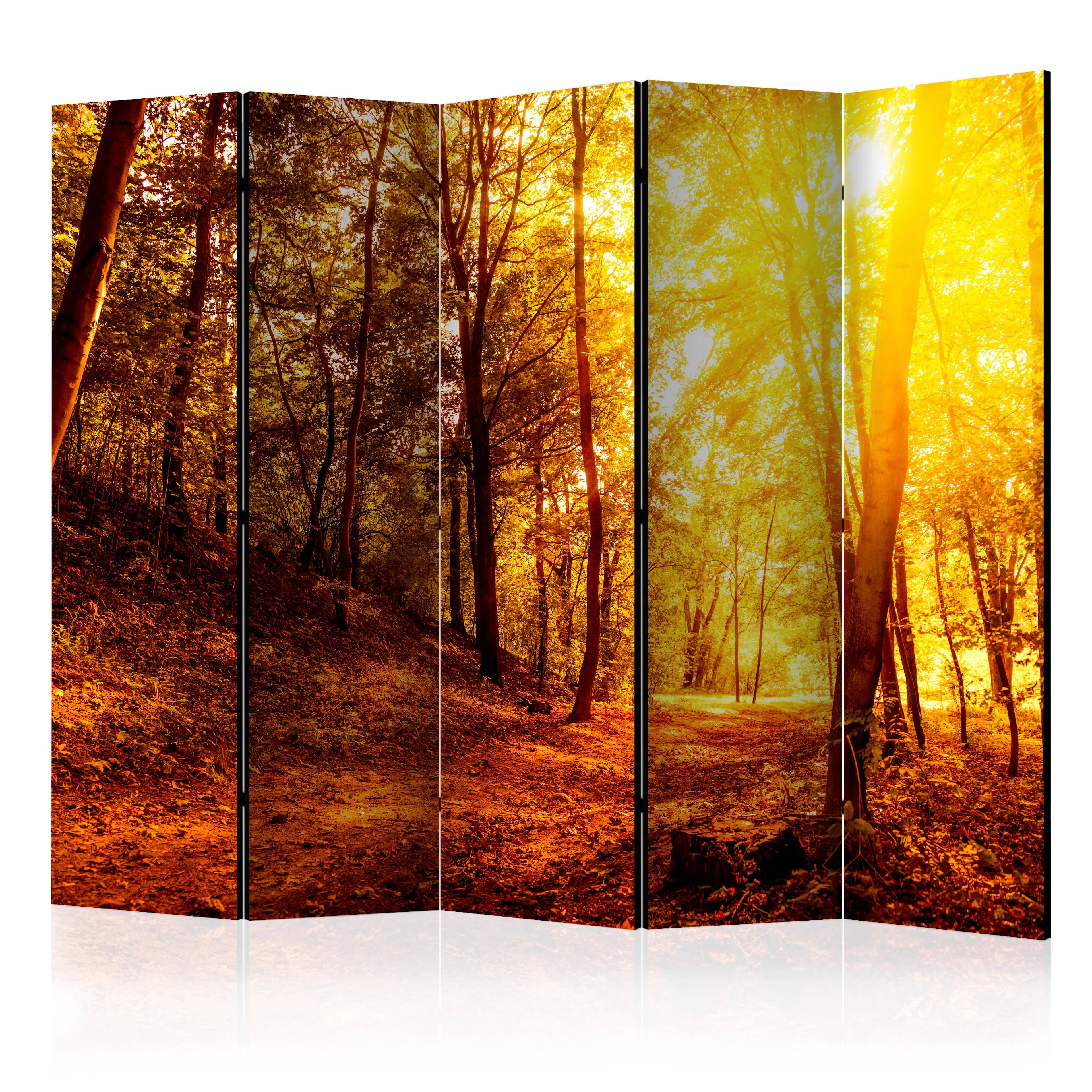 Rumsavdelare Arkiio Autumn Walk II 225x172 cm