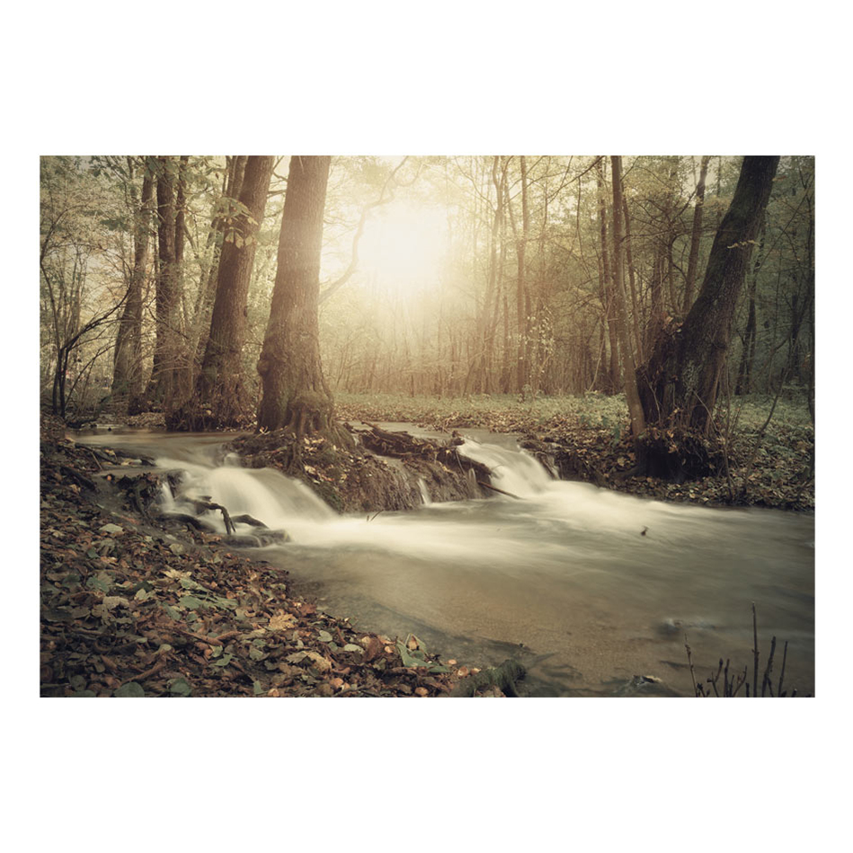 Fototapet Arkiio Forest Cascade
