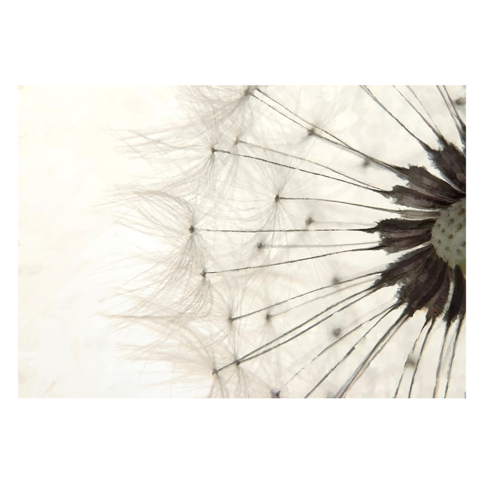 Fototapet Arkiio White Dandelion