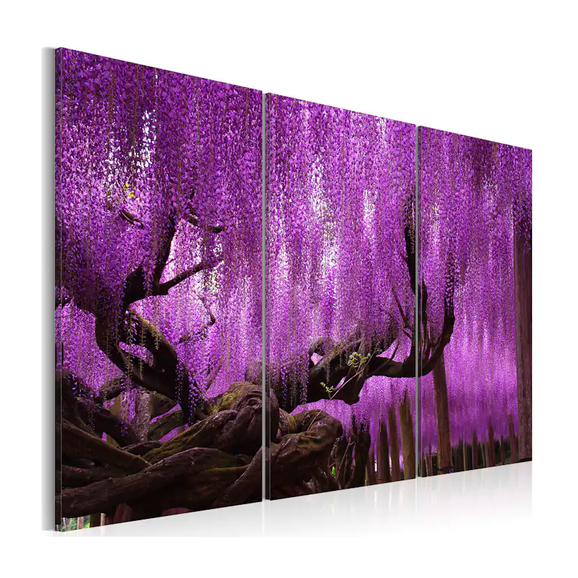 Tavla Arkiio Wisteria