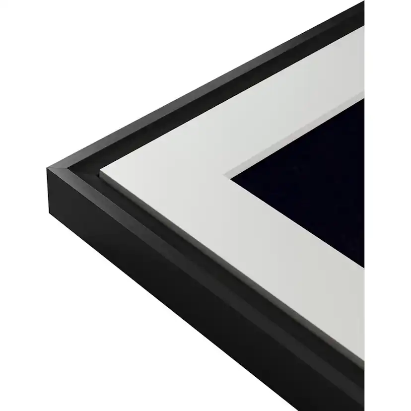 Digital Tavla Netgear Meural Canvas 27-tum Black Leonora