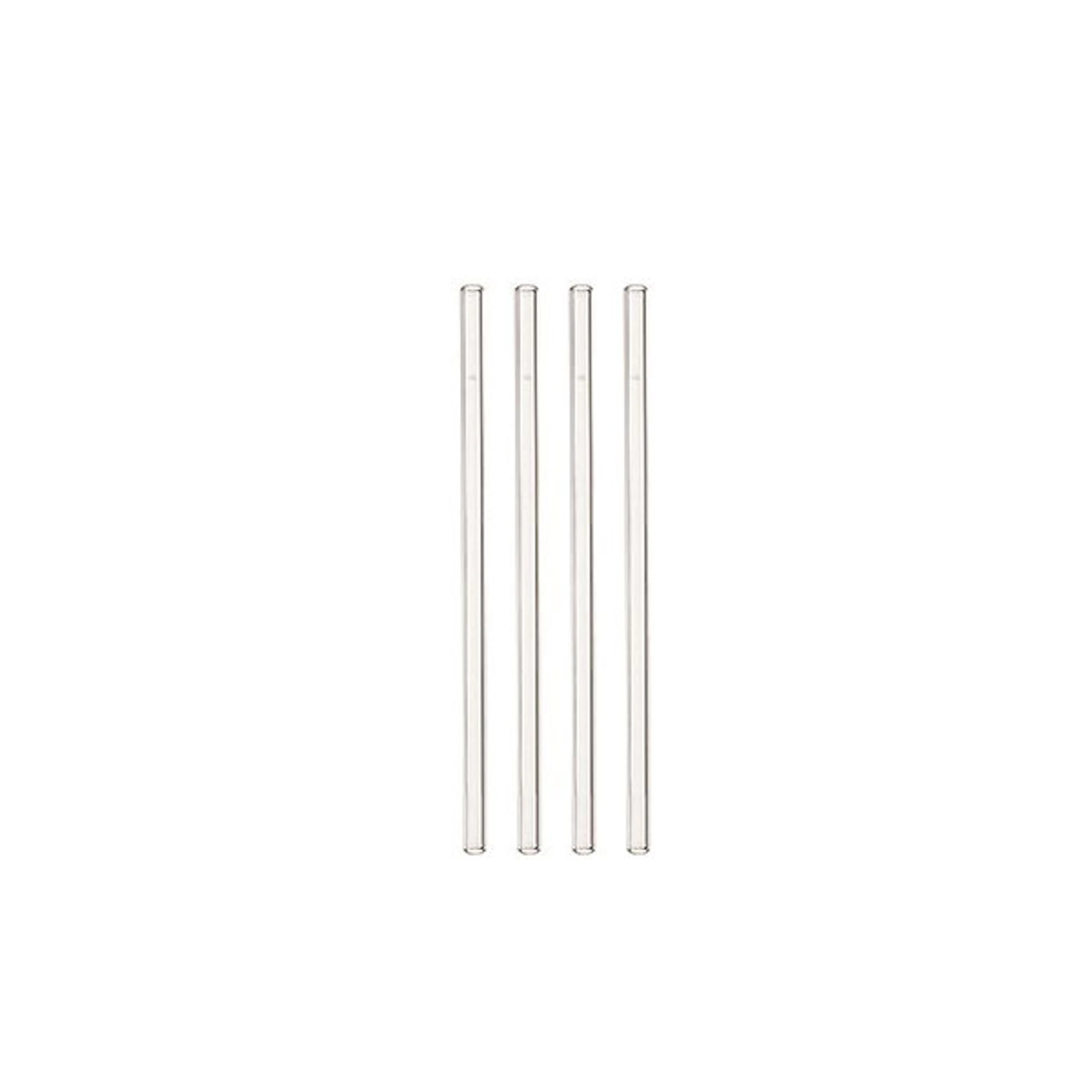 Sugrör Leonardo Glas 4-pack med Borste