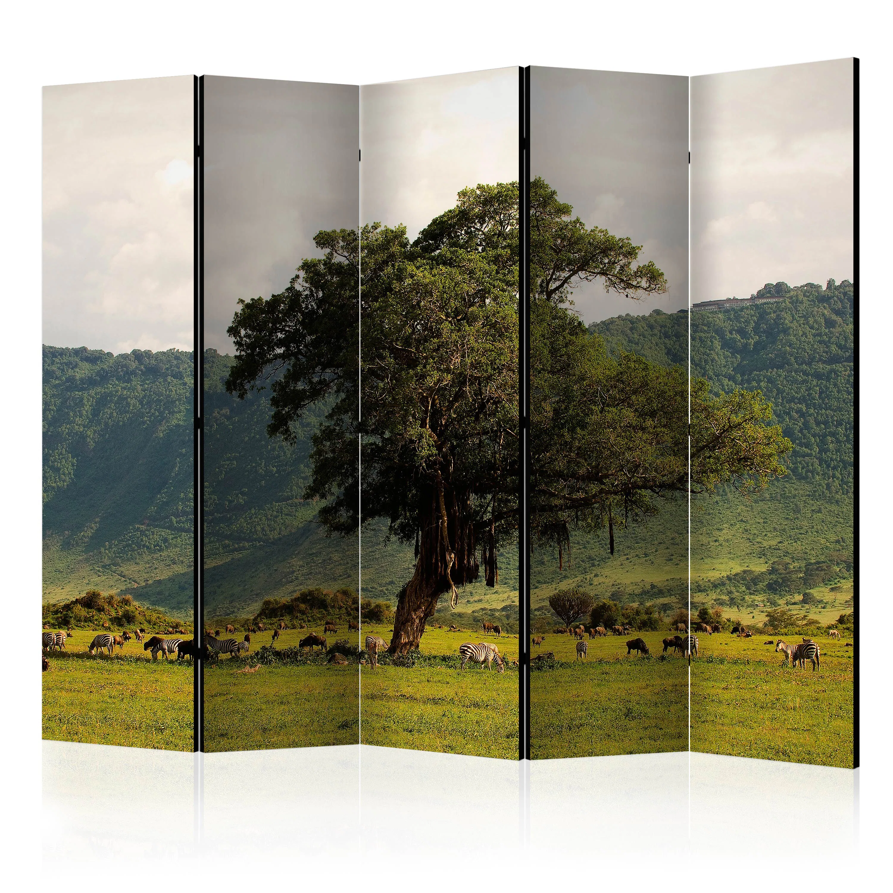 Rumsavdelare Arkiio In A Crater Of Ngoro Ngoro II 225x172 cm
