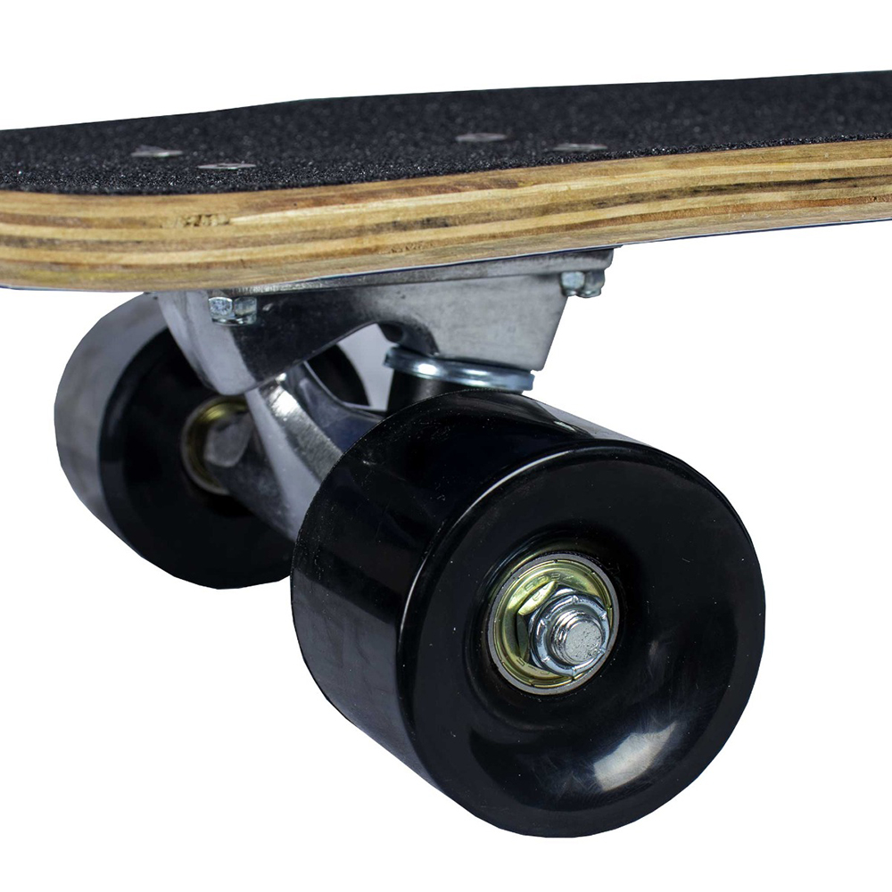 Skateboard Sandbar Shark