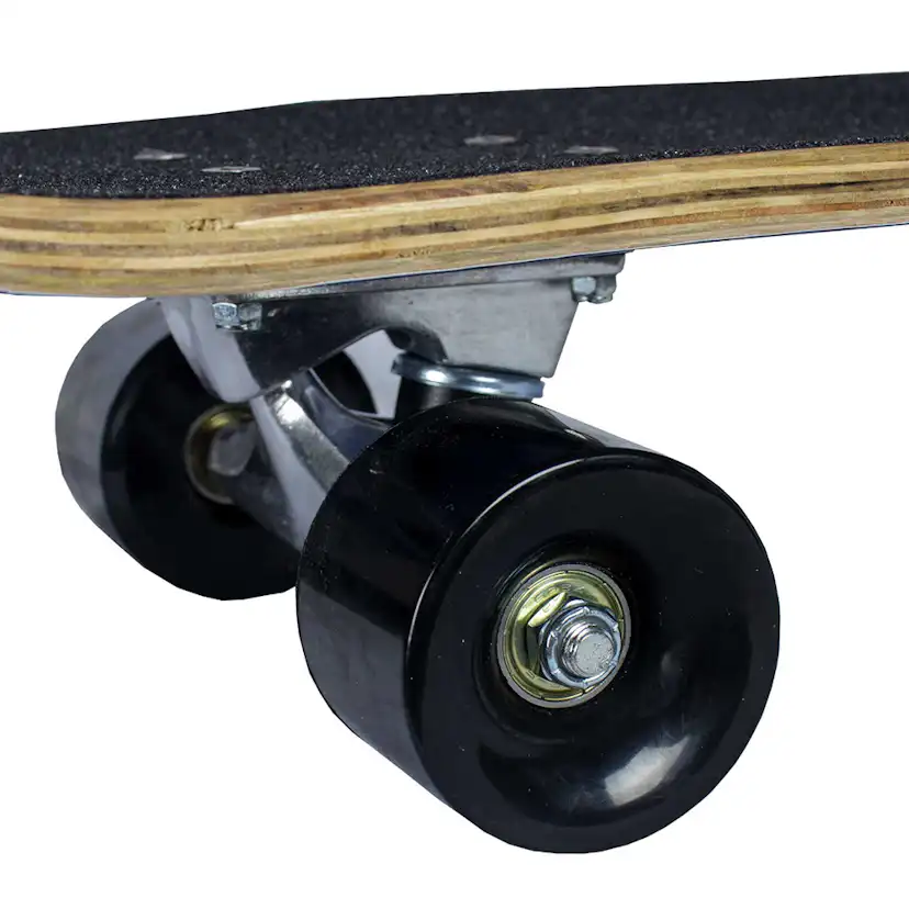 Skateboard Sandbar Shark