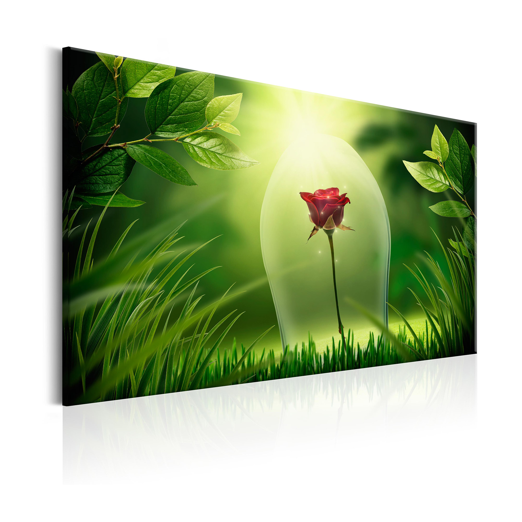 Tavla Arkiio Magical Rose