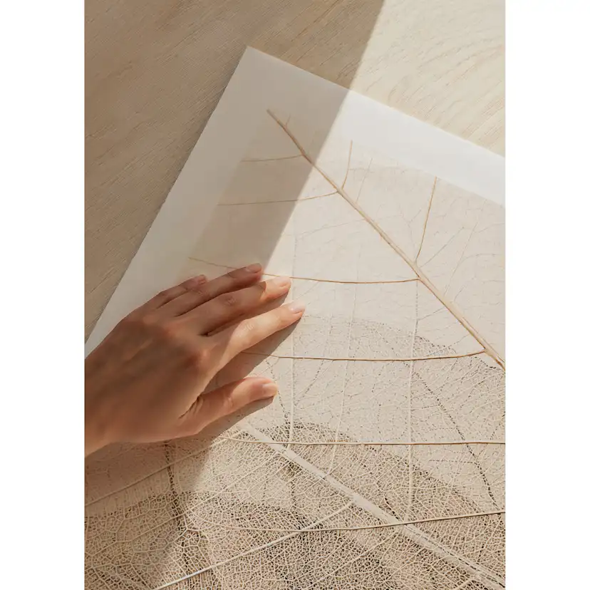 Poster Gallerix Layers Of Thin Leaves