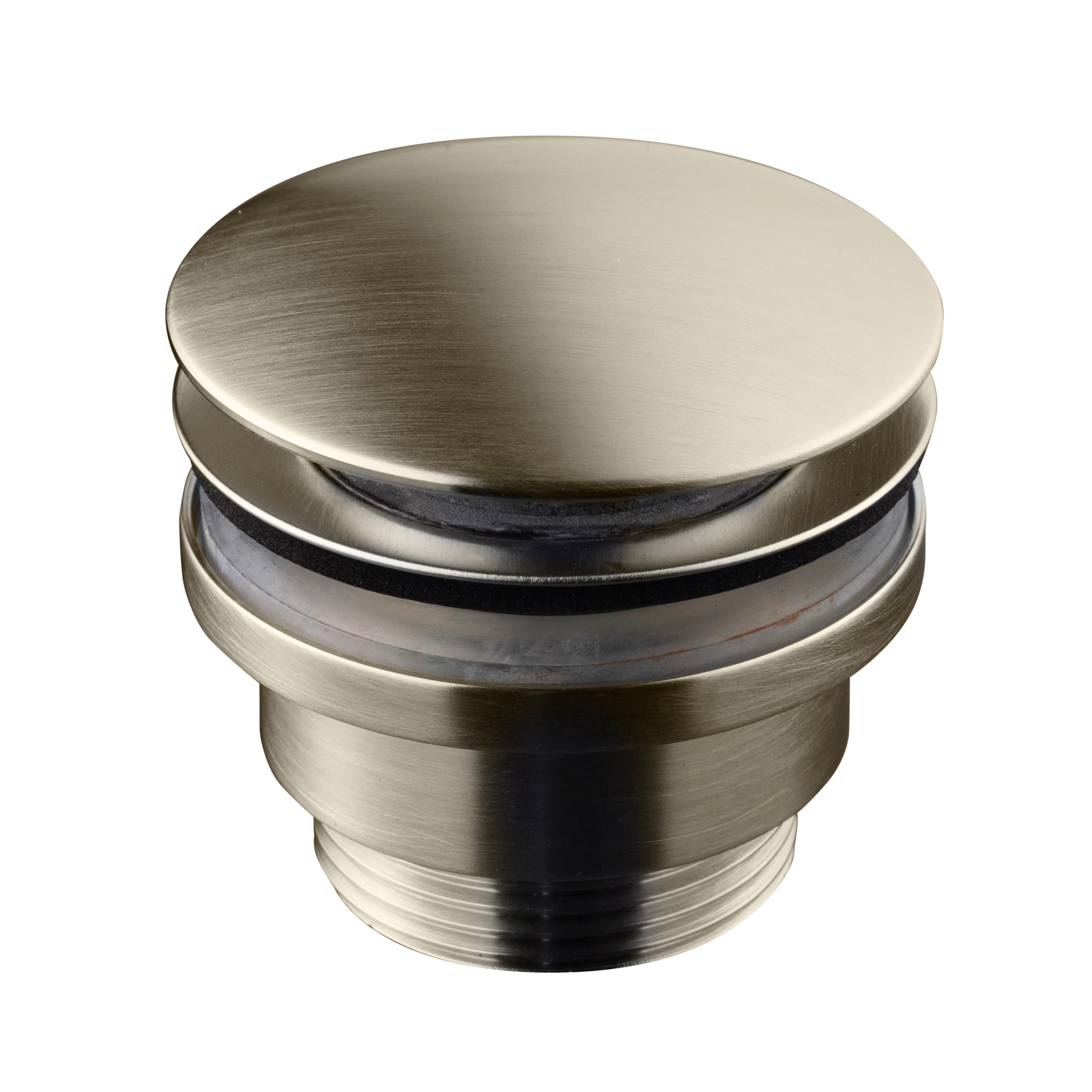 Borstad Nickel